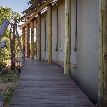 Imagine Africa Luxury Tented Camp バルレ・ゲーム・リザーブ エクステリア 写真