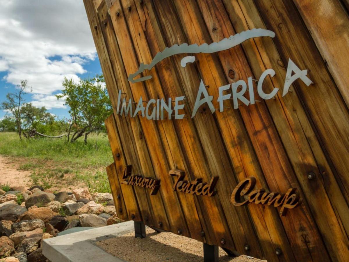 Imagine Africa Luxury Tented Camp バルレ・ゲーム・リザーブ エクステリア 写真