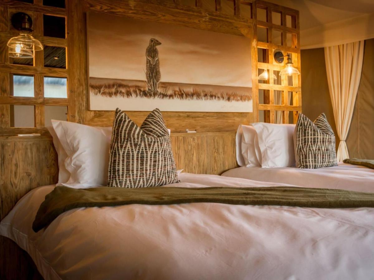 Imagine Africa Luxury Tented Camp バルレ・ゲーム・リザーブ エクステリア 写真