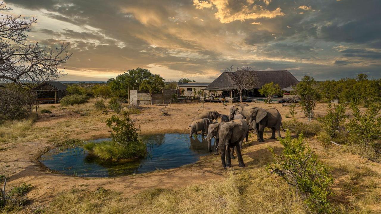 Imagine Africa Luxury Tented Camp バルレ・ゲーム・リザーブ エクステリア 写真