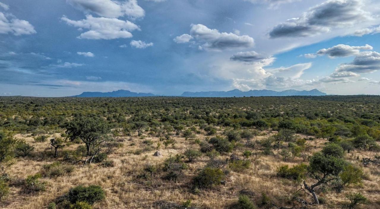 Imagine Africa Luxury Tented Camp バルレ・ゲーム・リザーブ エクステリア 写真