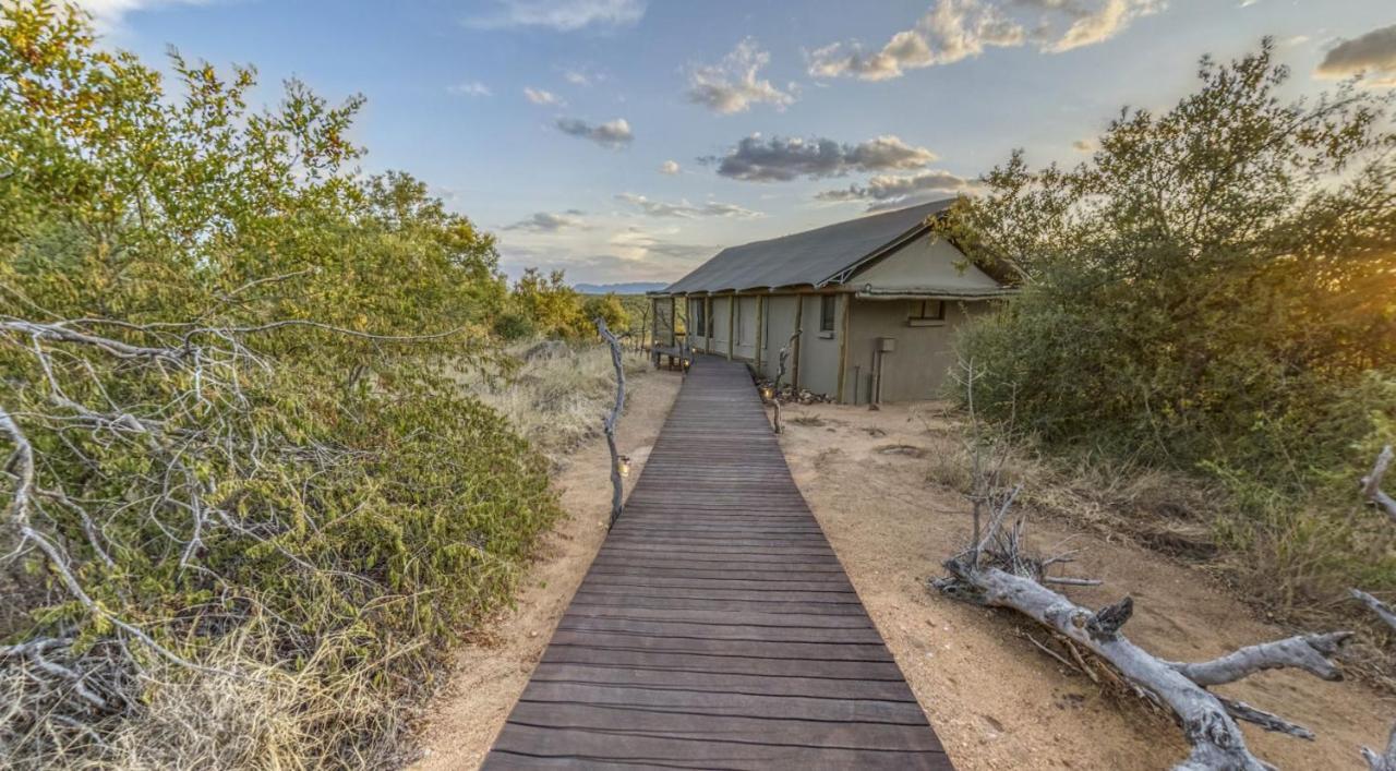 Imagine Africa Luxury Tented Camp バルレ・ゲーム・リザーブ エクステリア 写真