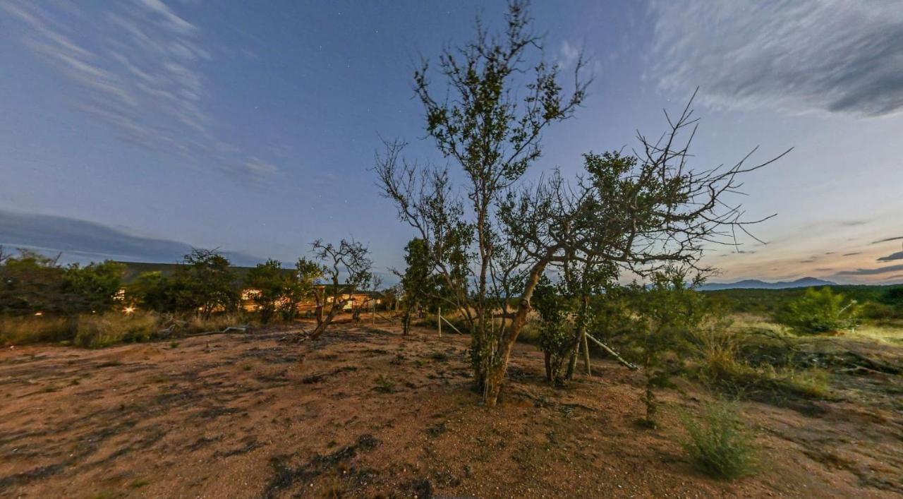 Imagine Africa Luxury Tented Camp バルレ・ゲーム・リザーブ エクステリア 写真