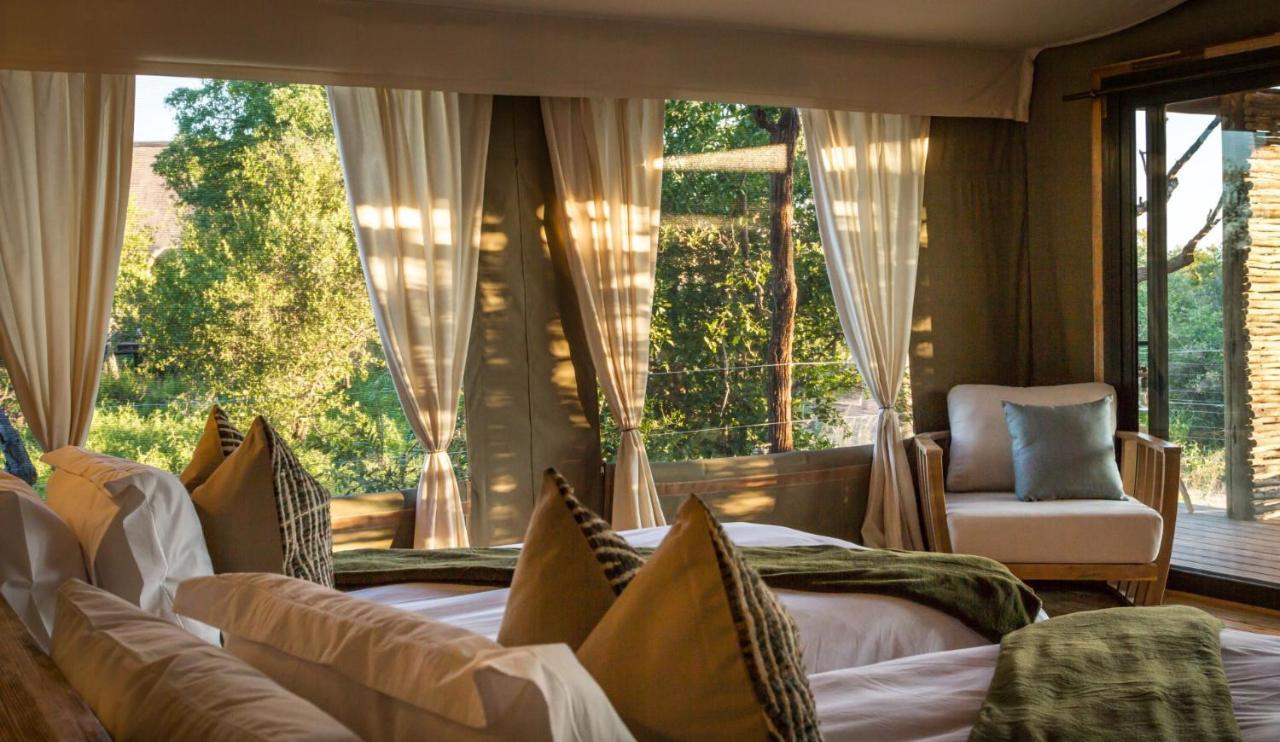 Imagine Africa Luxury Tented Camp バルレ・ゲーム・リザーブ エクステリア 写真