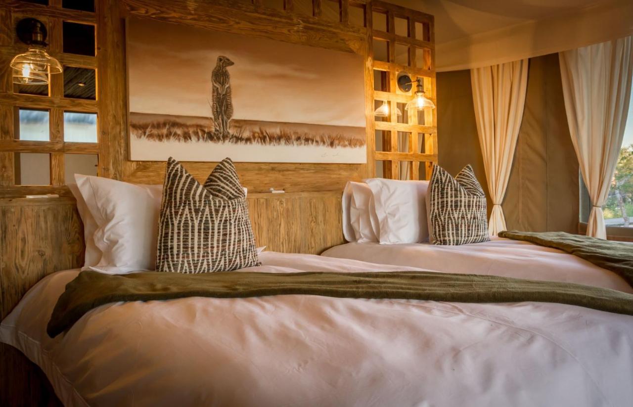 Imagine Africa Luxury Tented Camp バルレ・ゲーム・リザーブ エクステリア 写真
